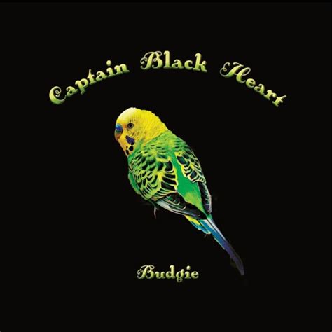 Stream Captain Black Heart Listen To Budgie Playlist Online For Free