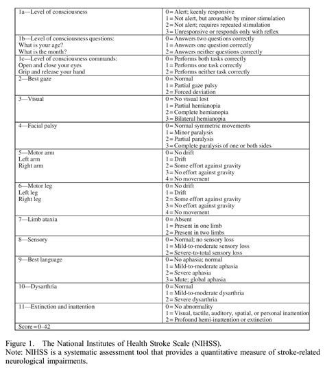 The National Institutes Of Health Stroke Scale Nihss