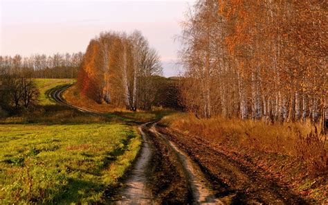 Free Download Country Road In Autumn Wallpapers Country Road In Autumn