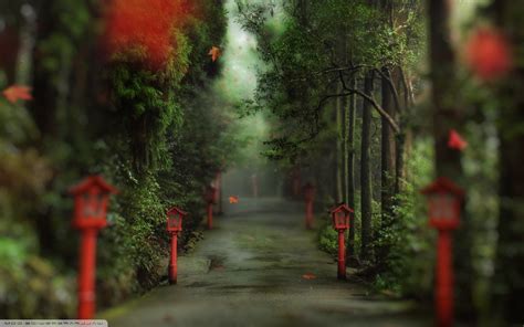 Wallpaper Sunlight Trees Forest Nature Red Road Lantern Green