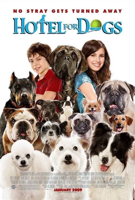 Movie Posters With Dogs List