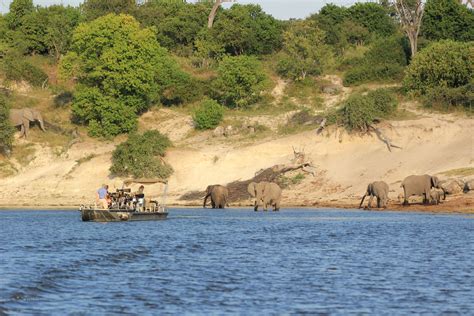 Chobe Nationalpark Safaris And Lodges › Madiba De