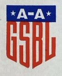 Liga De B Isbol Profesional All American Girls All American Girls