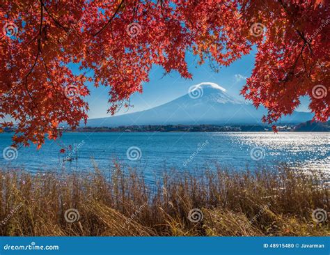 Mount Fuji And Autumn Maple Leaves Kawaguchiko Lake Japan Stock Photo