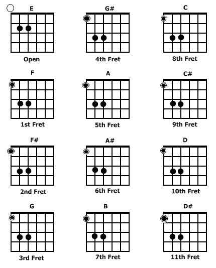 The Chart Says The 5th Fret For Example Does That Mean I Put My Index