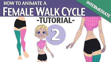 How To Animate A Female Walk Cycle ️ ️ ️ Tutorial 02 Intermediate