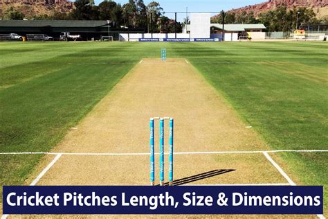 Cricket Field Dimensions Layout