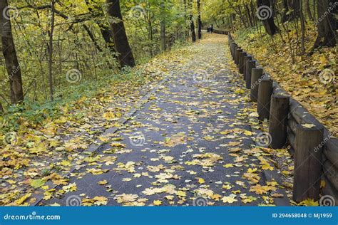 Tranquil Pathway Through Woodland In Autumn With Sunlit Trees Over