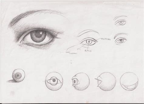 Ways To Draw Eyes By Ultraseven81 On Deviantart Eye Drawing Drawing