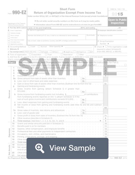Fillable Irs Form 990 Ez Printable Pdf Sample Formswift