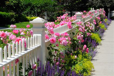 Or is your picket fence purely decorative? What Kind of Fences Make Good Decorative Fences? - Hercules Fence Virginia Beach