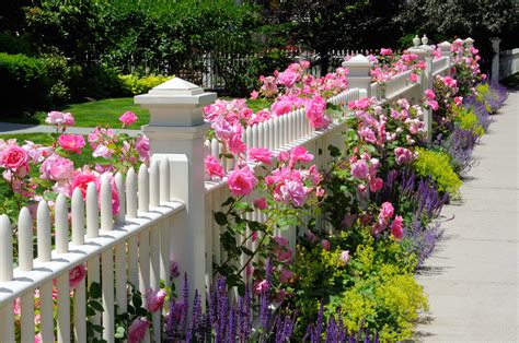 We bring superior customer service and top notch craftsmanship to your backyard. What Kind of Fences Make Good Decorative Fences ...
