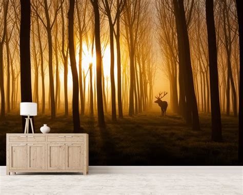 Forest Stag Wall Mural And Forest Stag Wallpaper Wallsauce Uk