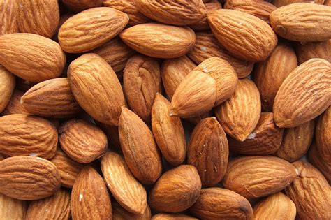 Almond Hulls And Almond By Products Feedipedia