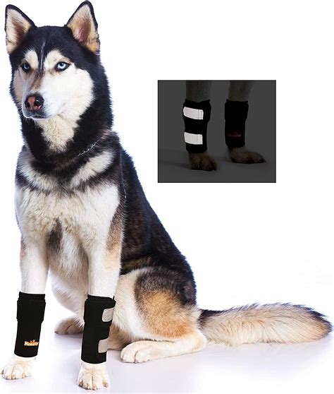 Buy Neoally Dog Braces Front Leg Support Canine Wrist Braces With