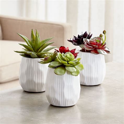 These artificial aloe are great for. Artificial Potted Succulent Plants | Crate and Barrel