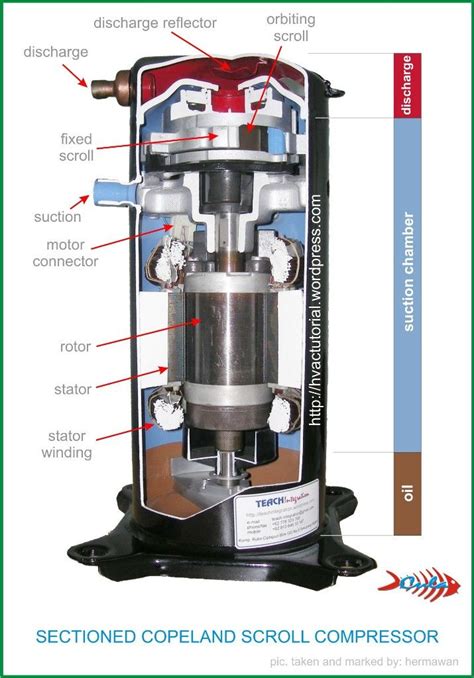 How Does A Compressor Work In A Fridge Kerri Urbina