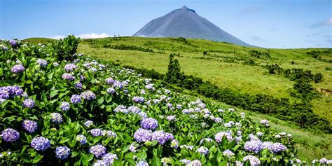 Maybe you would like to learn more about one of these? Azoren - São Jorge & Faial wandelvakantie | wandelen ...