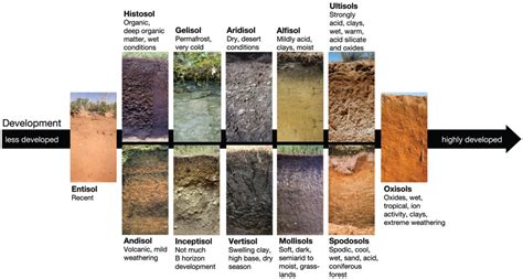 Soil Types And Characteristics