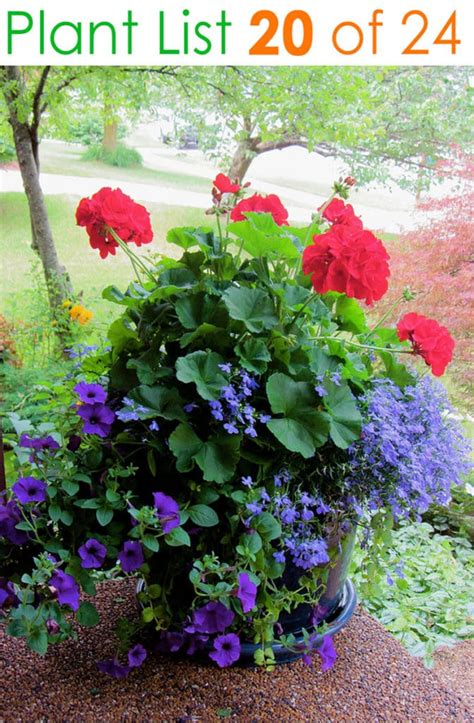 24 Stunning Container Garden Planting Ideas A Piece Of