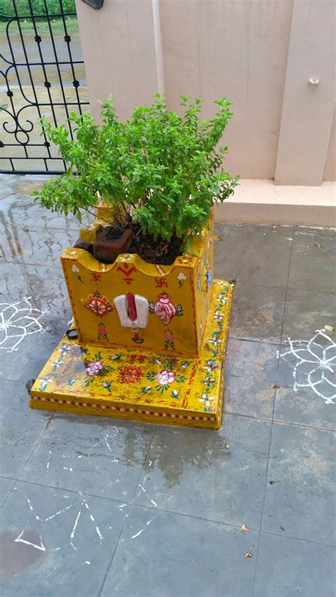 Pin By Rekha Vijay On Tulsi Tulsi Plant Tulsi Pot Goddess Decor