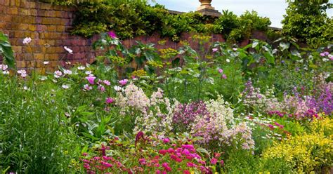 Wolkin and keenom's biography revealed that a club owner kept the guitar as partial compensation after bloomfield cut short a round of appearances. Plants and Flowers That Bloom All Year Round - Roworth ...