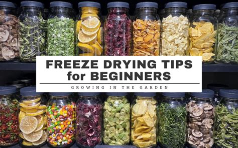 Freeze Drying Tips For Beginners Plant World