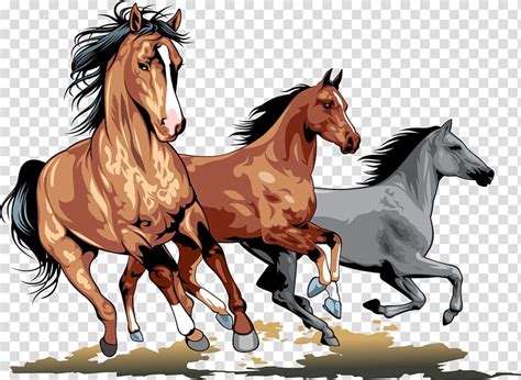 Stampeding Horses Clipart Images