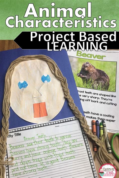 Guiding Your Students Through An Animal Project Based Learning Unit