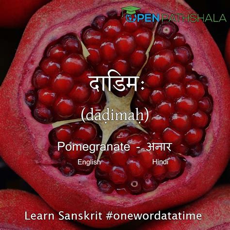 Fruits Name In Sanskrit Learn Sanskrit Open Pathshala