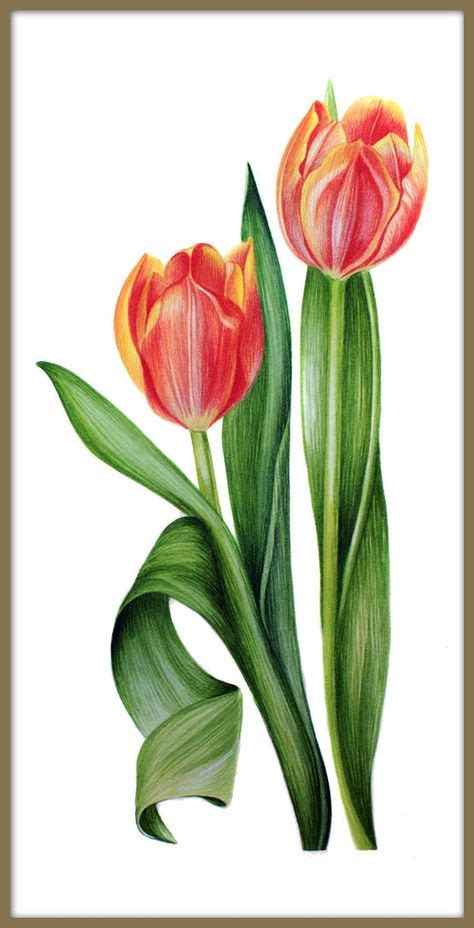 Tulip Flower Print Watercolour Painting Print Large Wall Art Decor