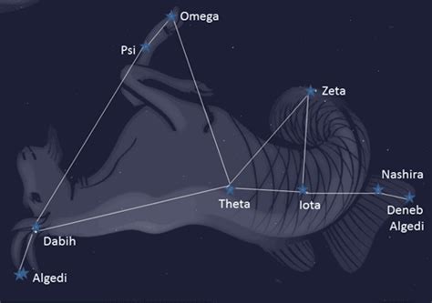 Capricornus Constellation Facts Information Mythology And History