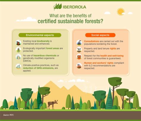 Sustainable Forest Management The Key To Preserving The Future Of