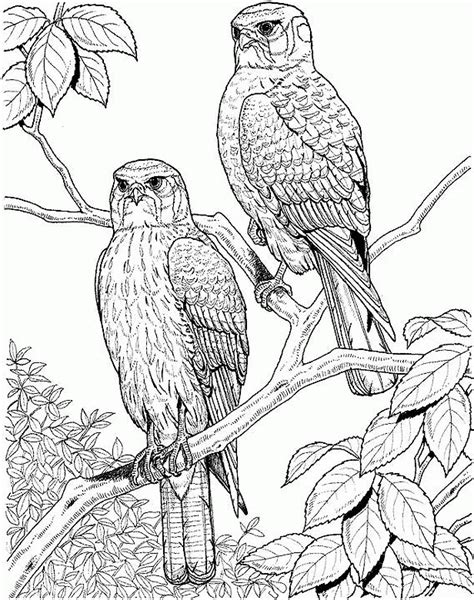 Coloring Pages For Adults Nature Coloring Home