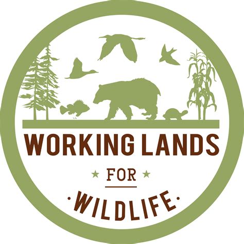 Wildlife Logos
