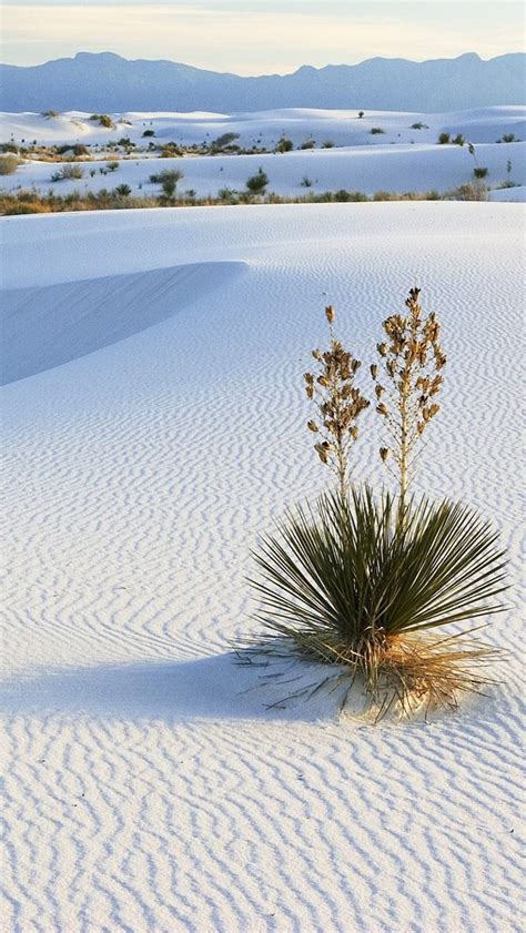 Check spelling or type a new query. White Desert Android Wallpaper HD | 2020 Live Wallpaper HD