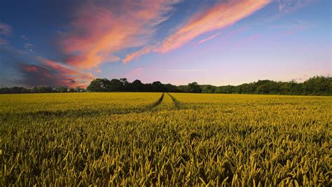 Nuisance and cannot be completely eliminated, but with effective control and management. Big Agriculture eyeing genetic tool for pest control