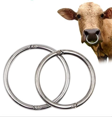 Copperbrass Accessories Bull Nose Ring Size General At Rs 600 In Ujjain