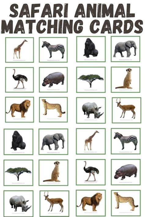 Free Printable Safari Animal Matching Cards Artofit