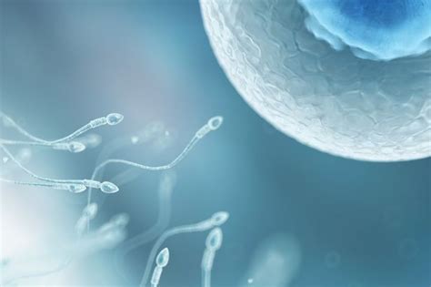 Fertility Doctor Who Used His Own Sperm To Father May Have More