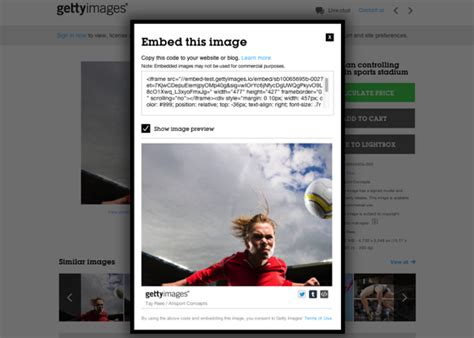 (UPDATE!) Download Getty Images Without Watermark FOR FREE!