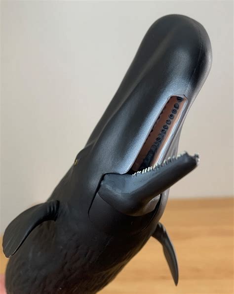 Sperm Whale 2018 Marine Life By Papo Animal Toy Blog