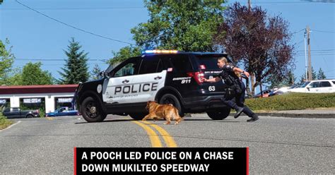 Mukilteo Speedway Policetypography