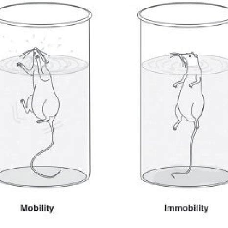 Schematic Representation Of Mobility And Immobility In The Forced Download Scientific Diagram