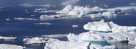 Arctic Sea Ice Crisis World Leaders Must Cut Emissions To Curb Arctic