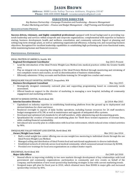 Executive Director Resume Examples Resume Professional Writers