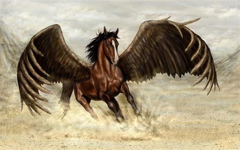 Pegasus Horse Wings Wallpaper Hd Fantasy 4k Wallpapers Images And
