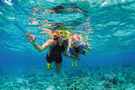 Isla Mujeres Reef Snorkelling At Albatros Beach Club Musement