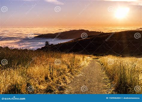 Sunset View Of Hiking Trail In The Santa Cruz Mountains Valley Covered