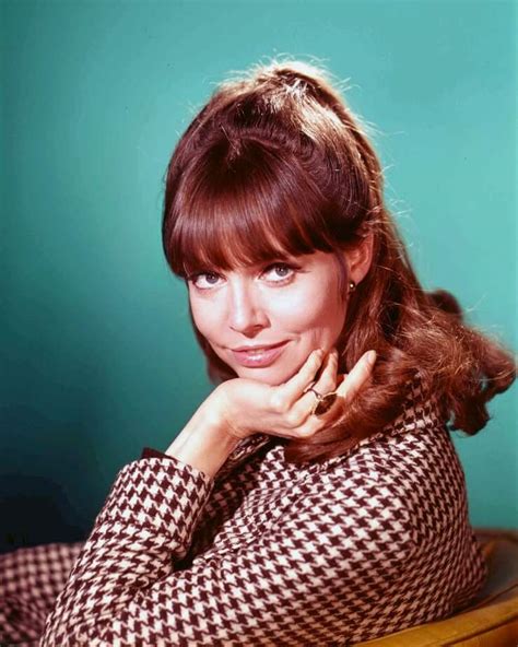 Hot Pictures Of Barbara Feldon Will Get Many Heads Turning The Viraler